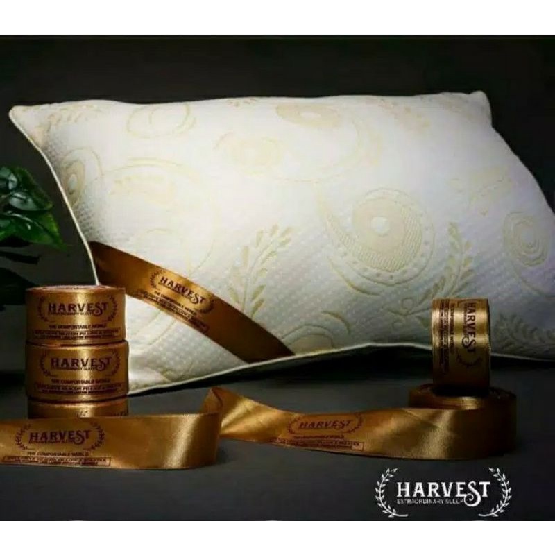 [2in1 MEDIUM] PAKET 1 BANTAL 1 GULING HARVEST ORIGINAL SIZE MEDIUM 850 GRAM