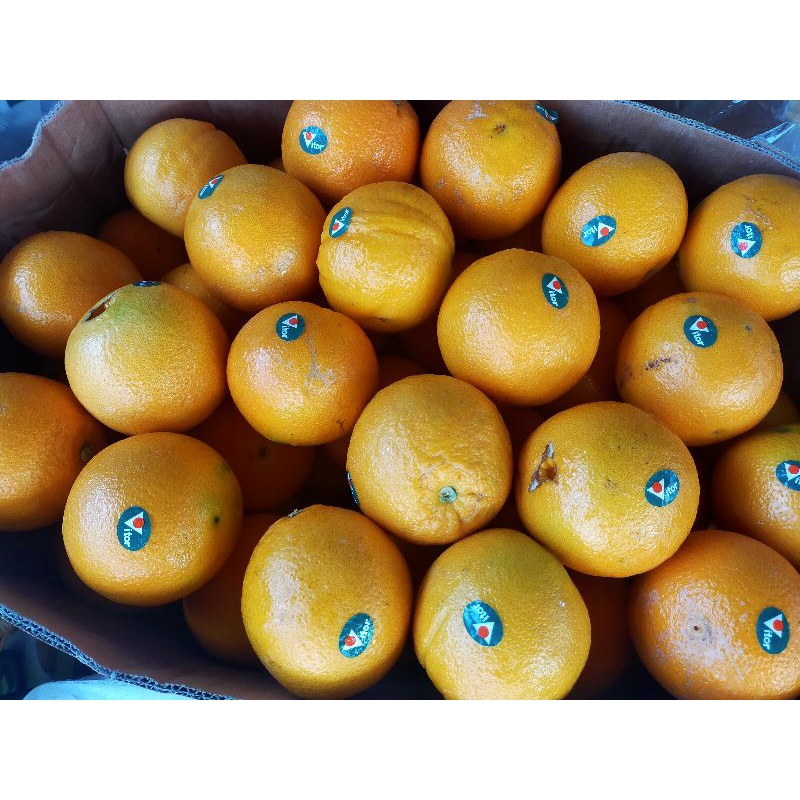 

jeruk Sunkist 1 kartoon ukuran 60/70/80 berat estimasi 16kg kotor