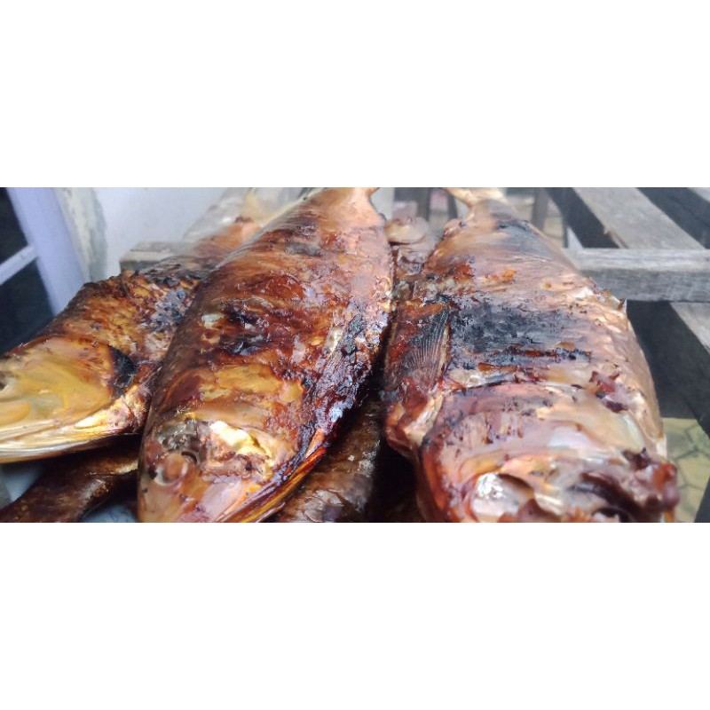COD ikan mbelo asap segar 1 kg