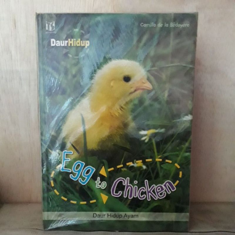 Buku Pengetahuan Anak - Egg to Chicken (Daur Hidup Ayam)