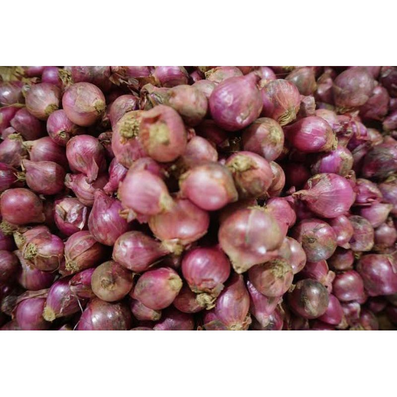 

Bawang Merah