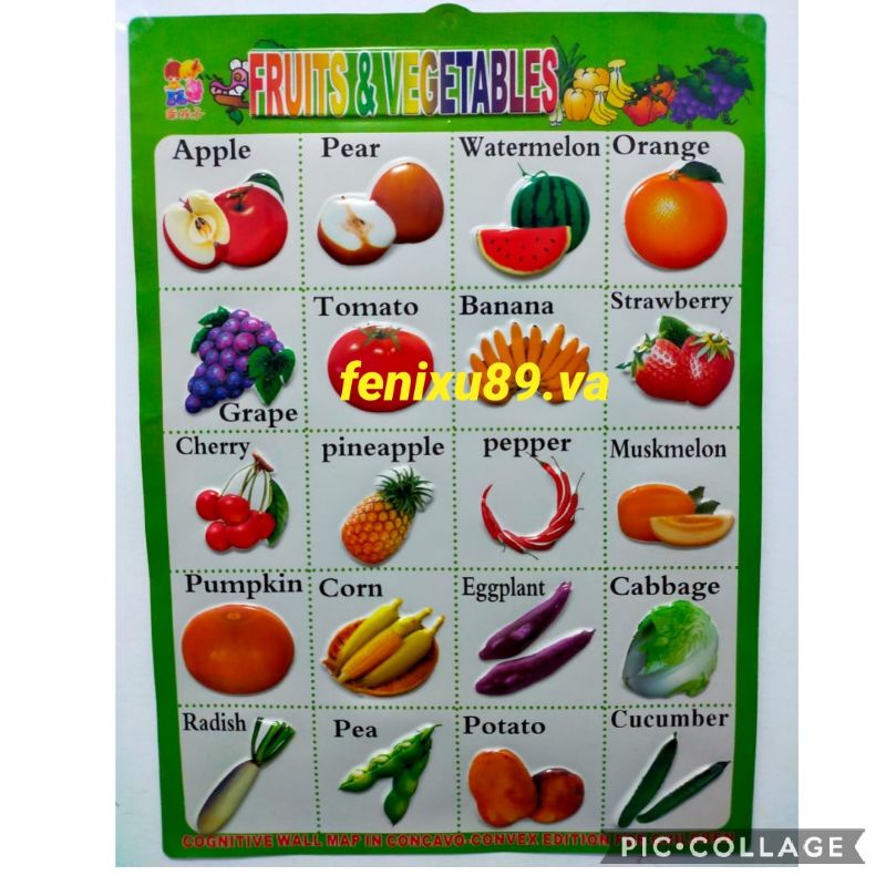 Poster Timbul Edukasi Anak Fruit&Vegetables Buah&Sayuran