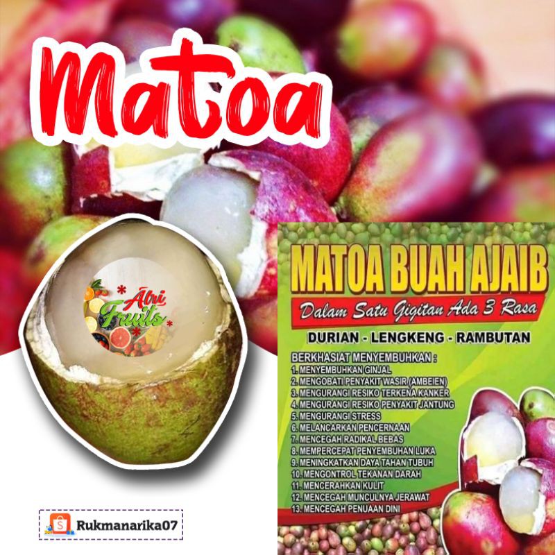 

buah matoa/ rambutan papua 1 buah 3 rasa