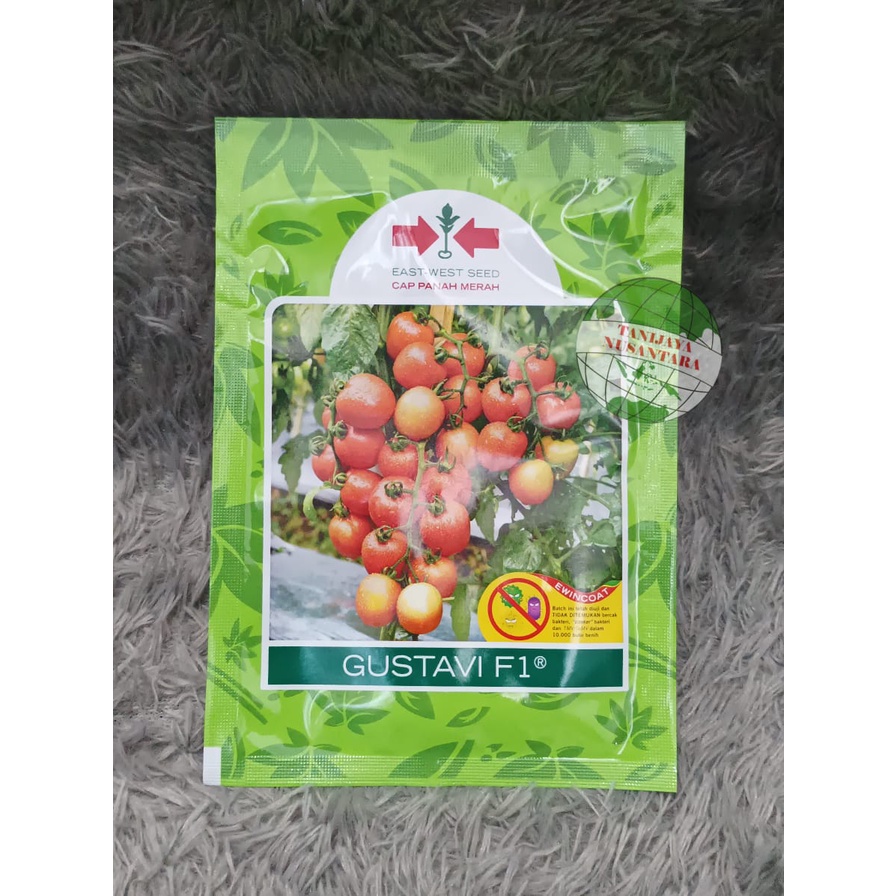 Bibit Tomat Gustavi F1 - 1750 butir