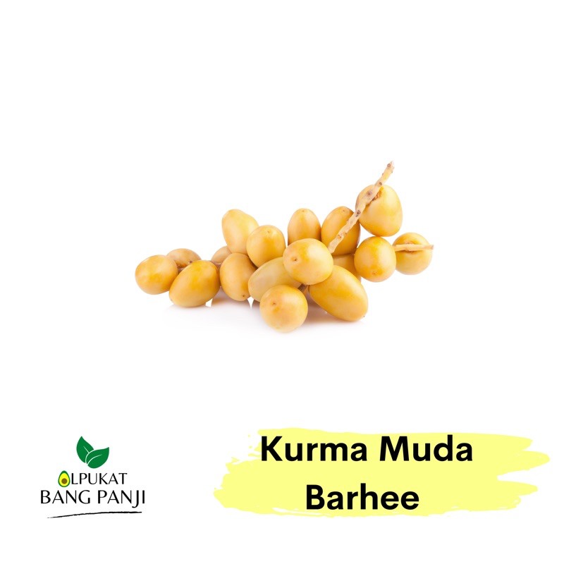 

ALPUKAT BANG PANJI - Kurma Muda Barhee Namibia