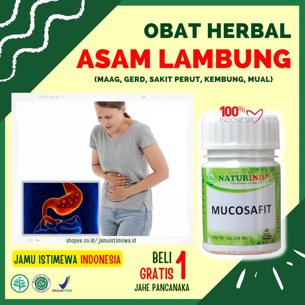 Obat Asam Lambung Maag Herbal Ampuh Asam Lambung Maag Gerd Kronis Sakit Perut Mual Mucosafit Naturindo