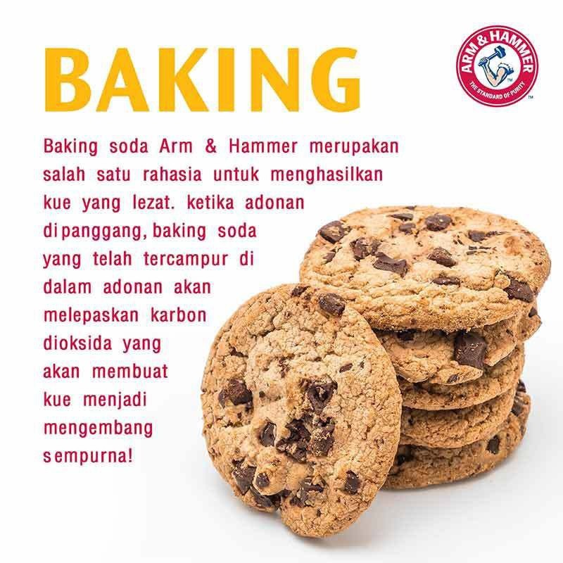 Arm &amp; Hammer Pure Baking Soda 454gr Bahan Pengembang Natrium Bikarbonat Original USA