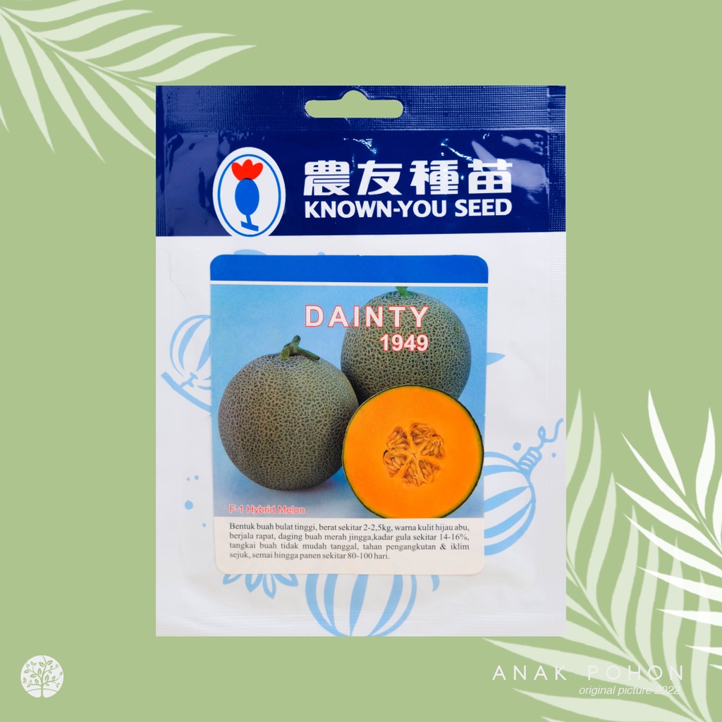 (1 PACK - 10 GRAM) Benih Melon Dainty 1949 Hibrida F1 Oranye Seeds - Known You Seed KYS