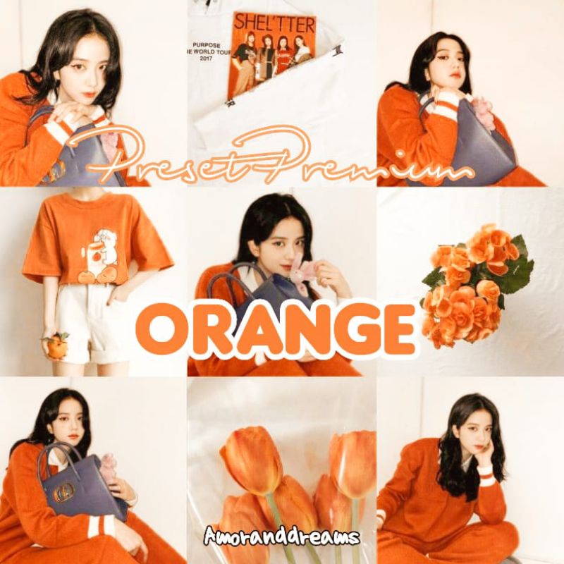 PRESET LIGHTROOM PREMIUM FOR IOS OR ANDROID