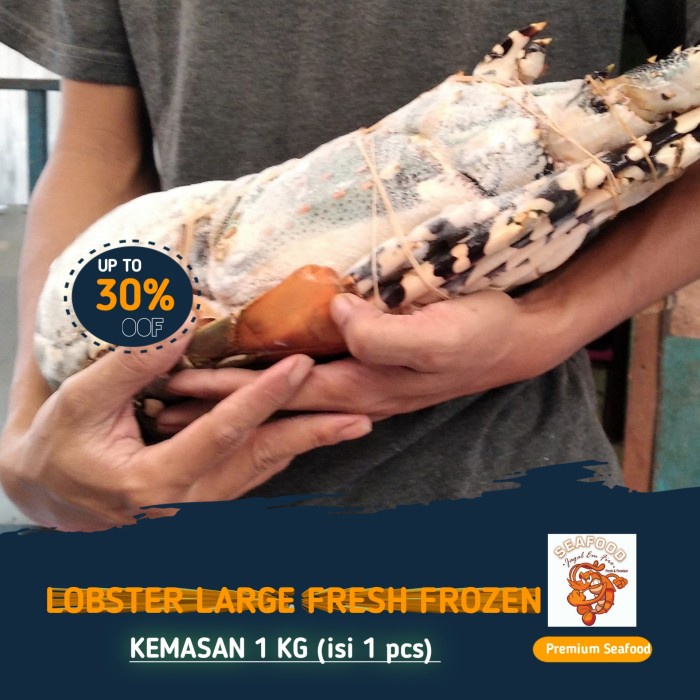 

LOBSTER BESAR FRESH FROZEN 1000UP - 950Gr - 1000Gr