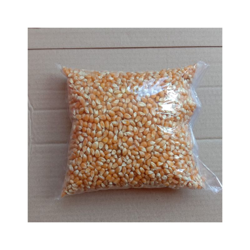 

Jagung untuk popcorn Murah Bagus