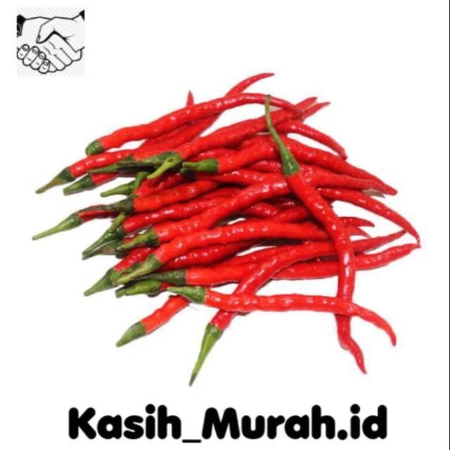 

CABAI MERAH KERITING / KERITING MERAH