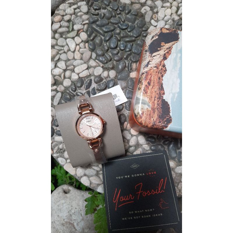 Jam Tangan Wanita FOSSIL ES3268 Georgia Mini Stainless Steel