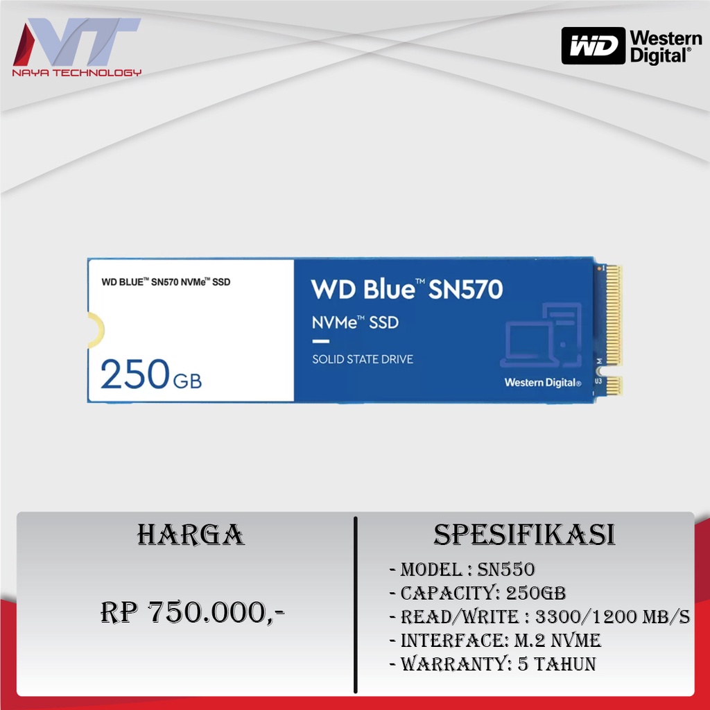 WD Blue SN570 250GB SSD NVMe Gen 3 x4