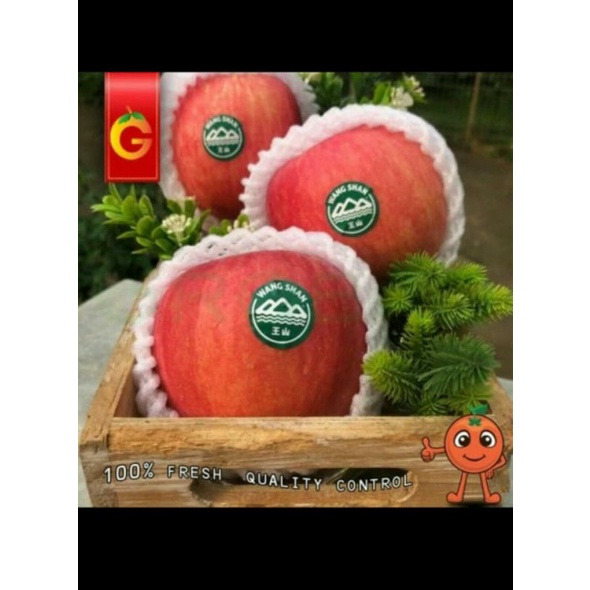 

APEL WANGSANG 500GR