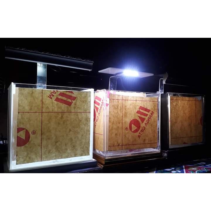 Akuarium Akrilik Soliter Selfie