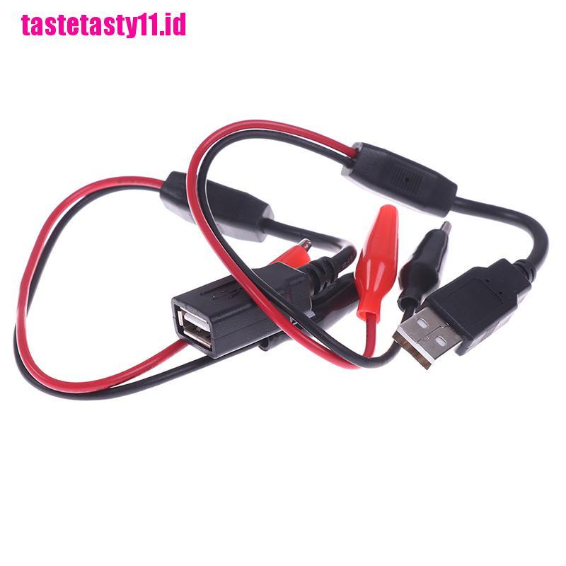 Klip Buaya Kabel USB Ke USB tester Untuk DC Voltage meter