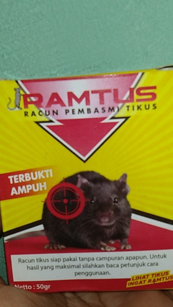 Racun Tikus Ramtus Asli Alami Mati Kering Tidak Bau Pembasmi Pengusir Tikus Super Paling Ampuh 6 Pak