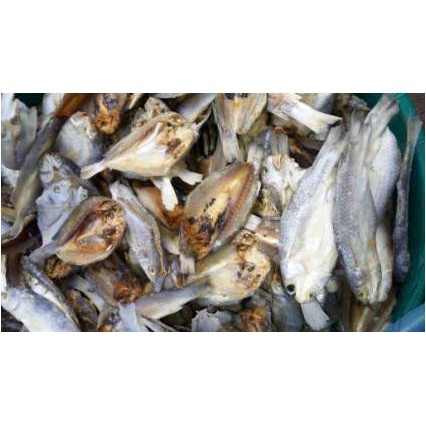 

Ikan Asin Belanak Belah ( 1.000 Gr )