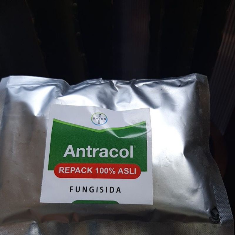 Antrakol 100gram Fungisida Plus Zat Pengatur Tumbuh