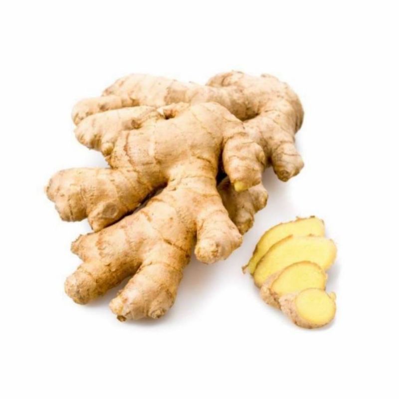 

Jahe - Rempah Rempah Jahe Bumbu Dapur Jahe Herbal Berkualitas