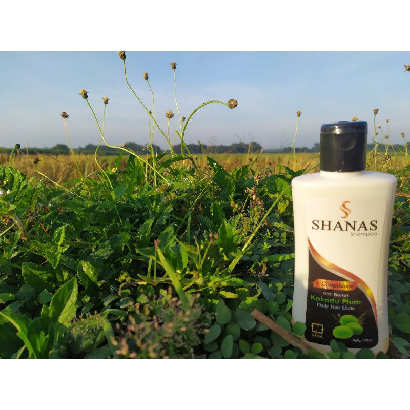 

Shanas