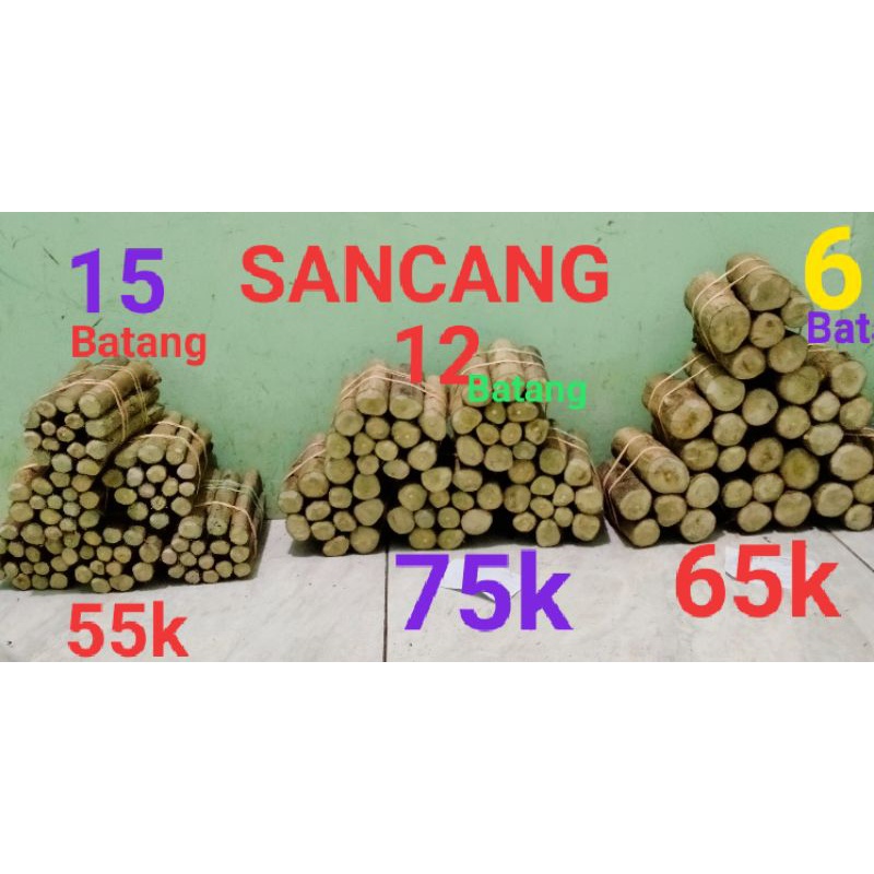 stek batang sancang per iket