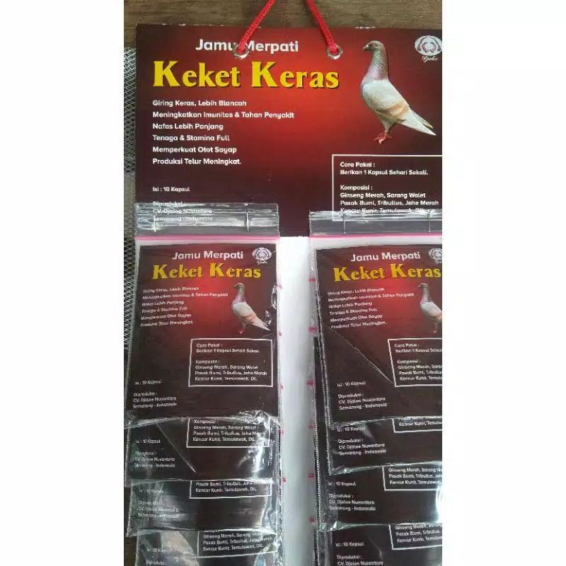 KEKET KERAS merpati