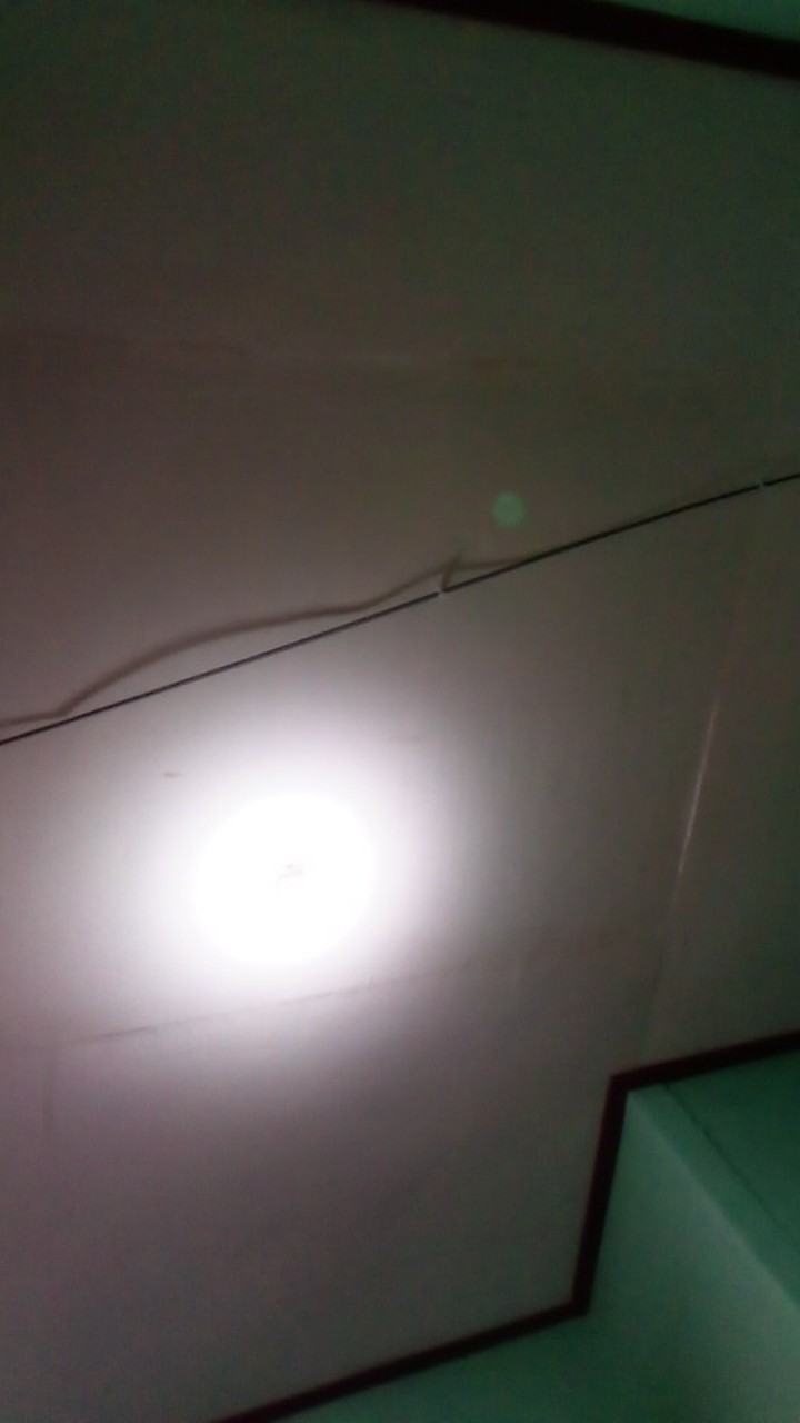 Grosir Sabun Cair Cuci Piring Lemon 600ml Perkasa