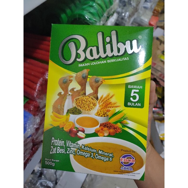 PAKAN BURUNG PIYIK ANAKAN BURUNG LOVEBIRD BALIBU EBOD JAYA