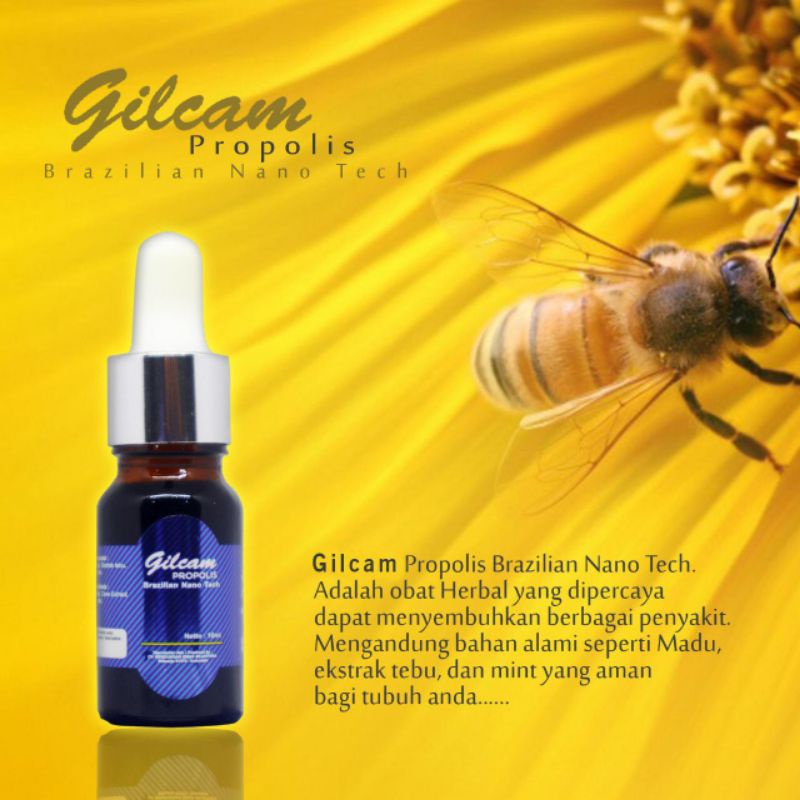 propolis gilcam