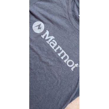 kaos marmot