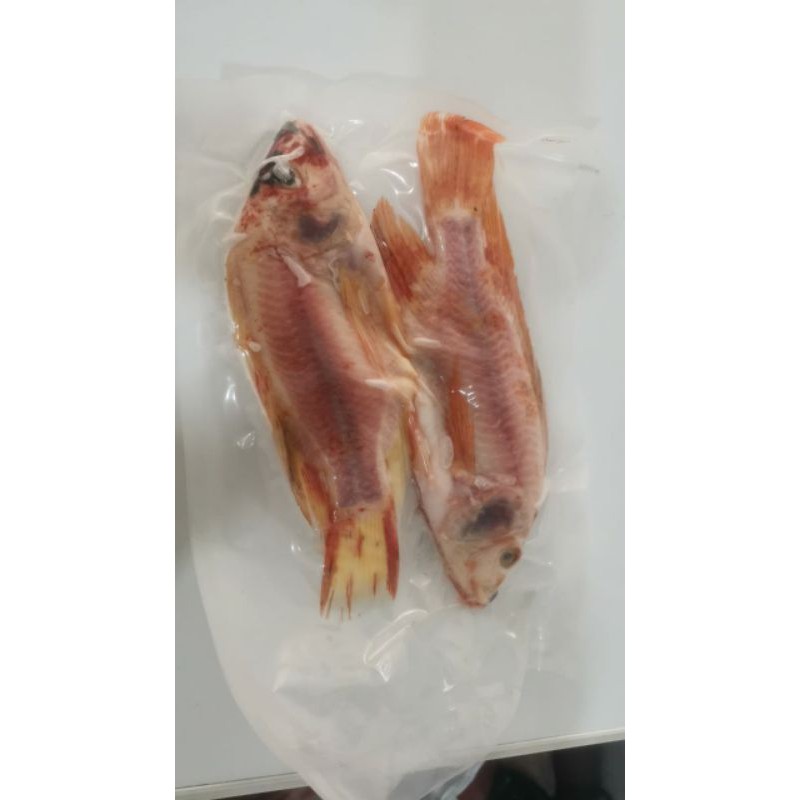 

Ikan Nila Segar murah 300gr