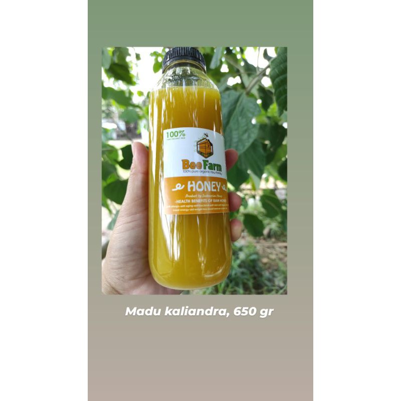 

madu murni bee farm kaliandra 650 gr