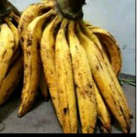 

pisang tanduk /sisir