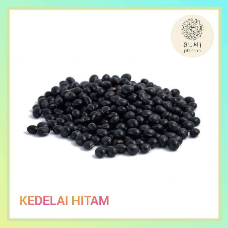 

Kacang Kedelai Hitam 250 gram