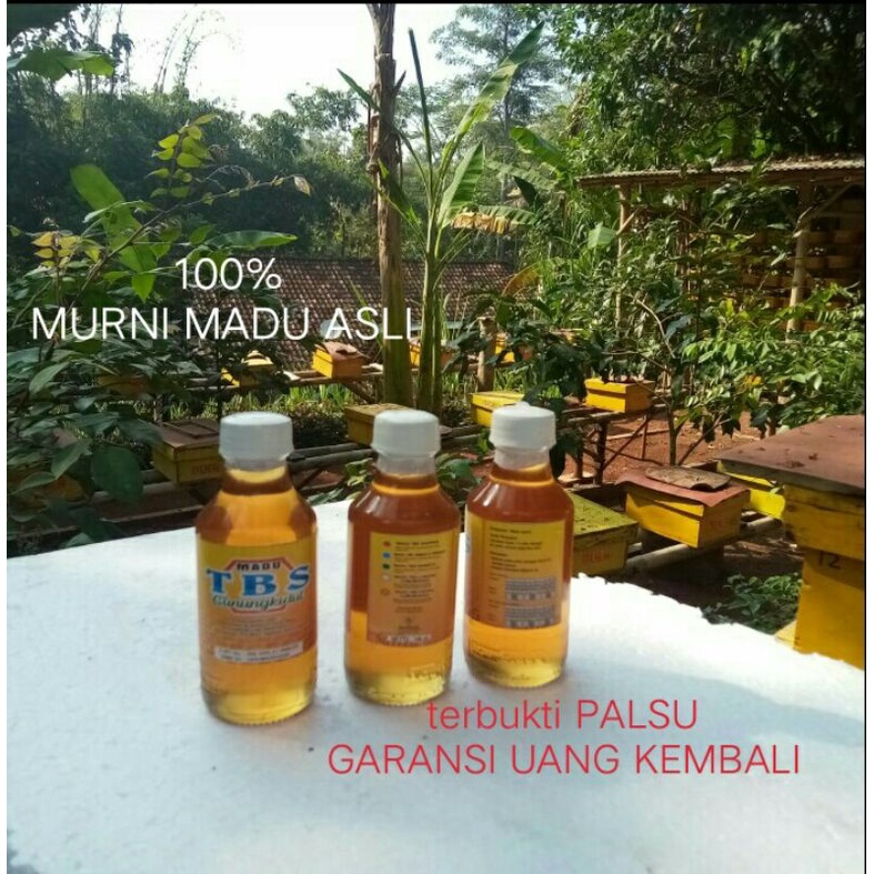 

madu TBS murni nektar bunga asli gunungkidul