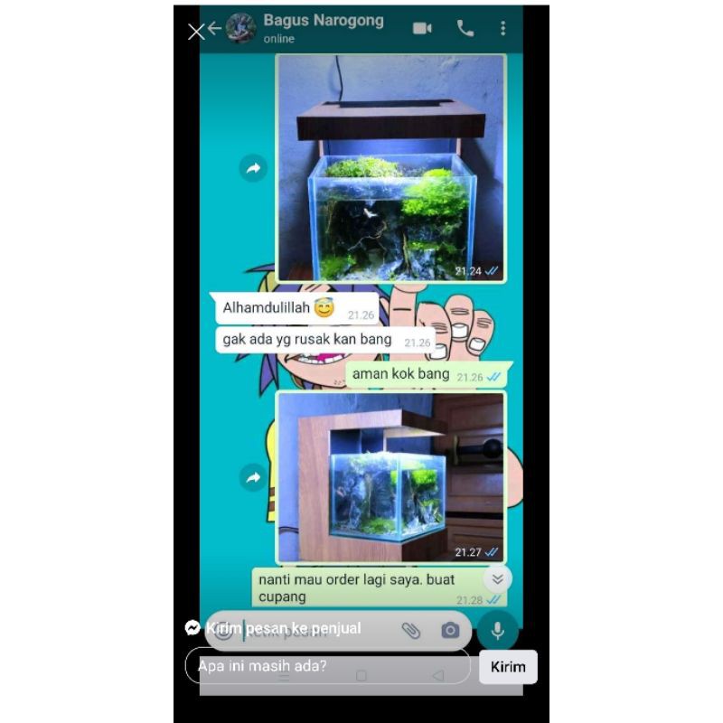 aquarium mini display kabinet mewah harga murah soliter