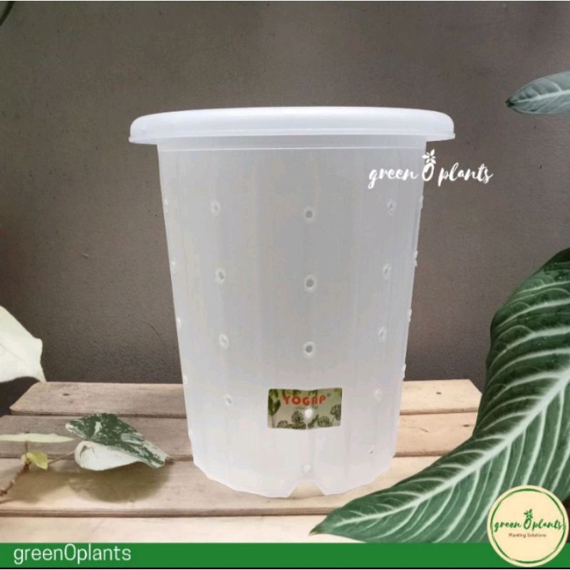 Grosir Pot Yogap YPT 18 Transparan Berlubang