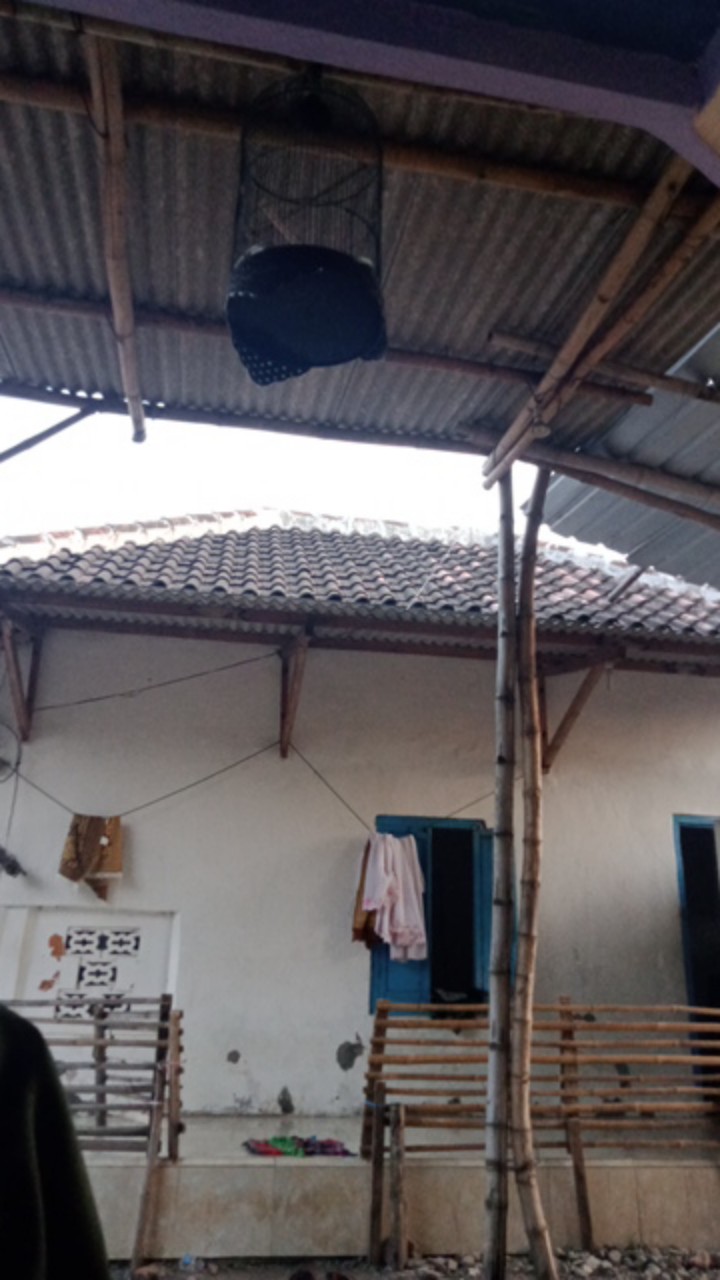 Pisau Dapur Stainless Tajam Kuat Pisau Buah Daging Stainless Anti Karat