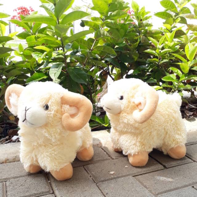 Boneka Domba M 25cm Souvenir Aqiqah Shopee Indonesia