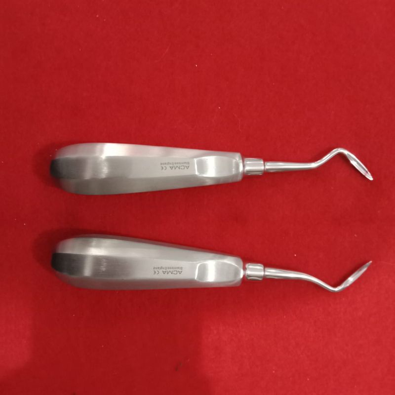 bein lengkung root elevator set