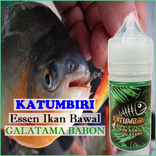 Jual Katumbiri Essen Ikan Bawal Khusus Indukan Babon Lomba Galatama