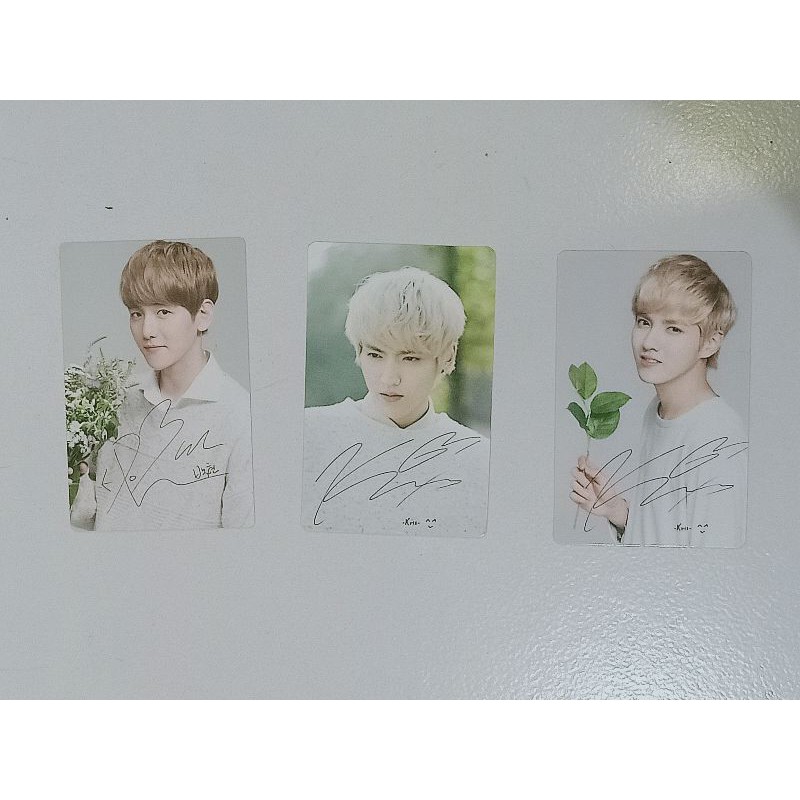 SALE OFFICIAL PHOTOCARD PC EXO BAEKHYUN NATREP NATURE REPUBLIC