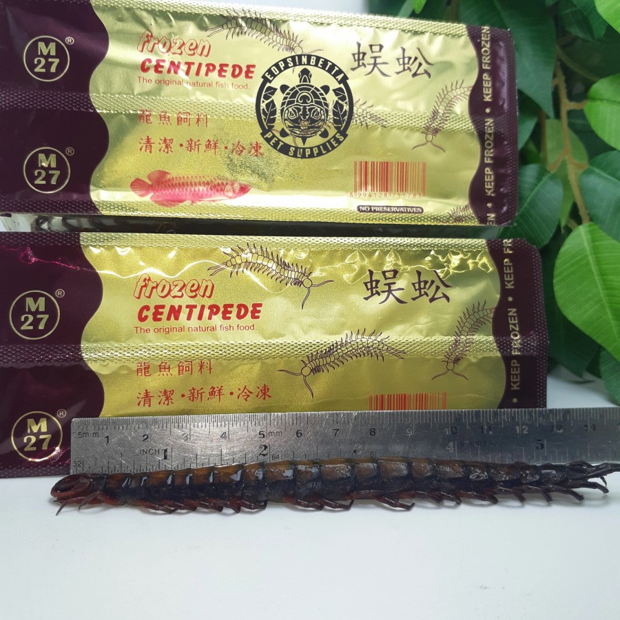 Kelabang Merah Beku M27 Segar Higienis Pakan Ikan Predator isi 2 Ekor