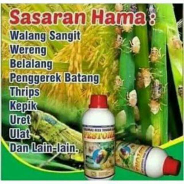 Pengendali Hama Organik - PESTONA NASA