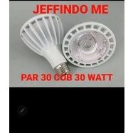 Lampu Par 30 30W Par30 30 Watt COB Putih / Warm White
