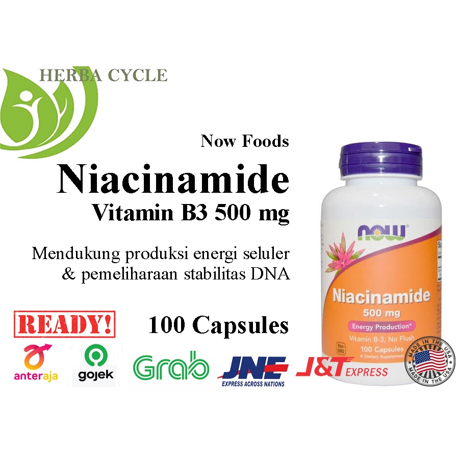 Now Foods Niacinamide 500 mg 100 Cap Vit B3 Sumber Energi ORI USA