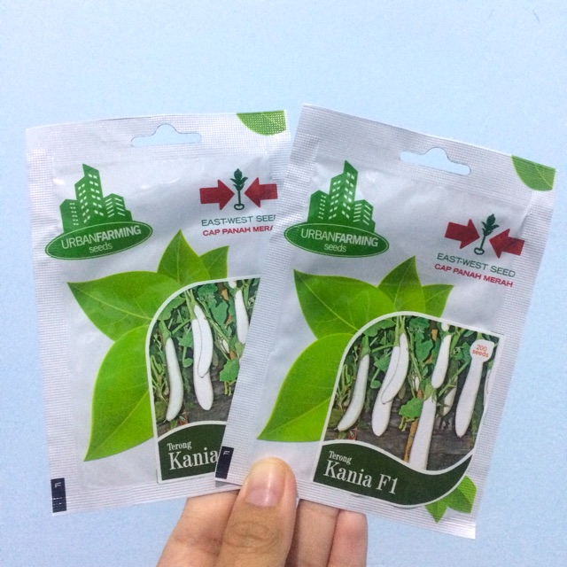 200 Benih Terong Putih Kania F1 (Cap Panah Merah)