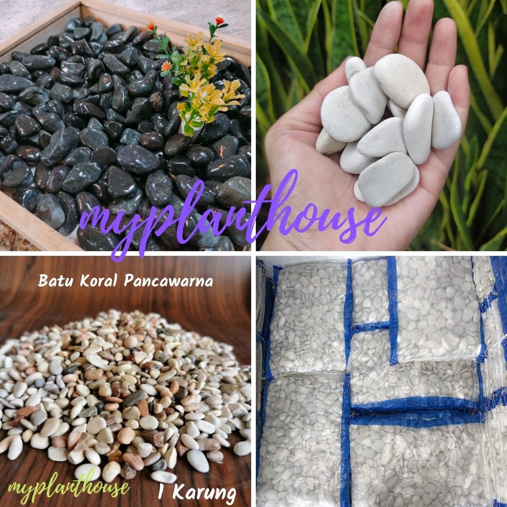 [ KARGO ] Batu Koral Putih Kupang | Batu Koral Hitam Bengkulu | Batu Koral Pancawarna ( Karungan 12 